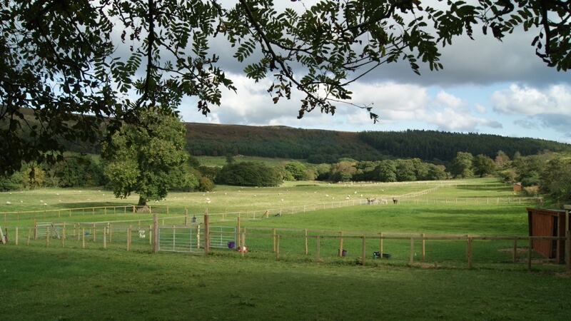 Book a farm visit