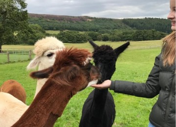 Farm Visits