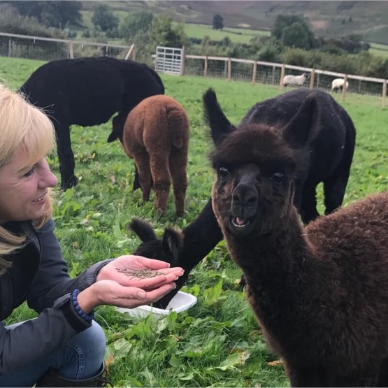 Farm Visits