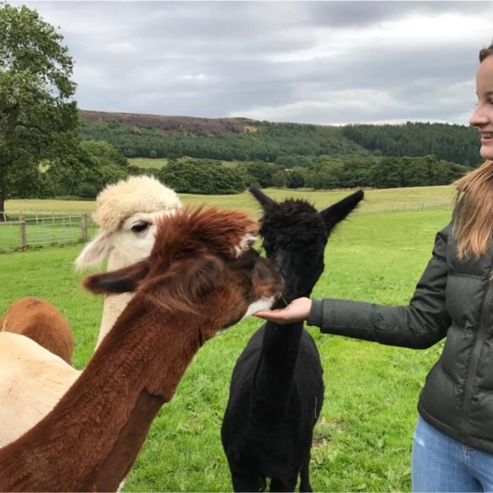 Farm Visits